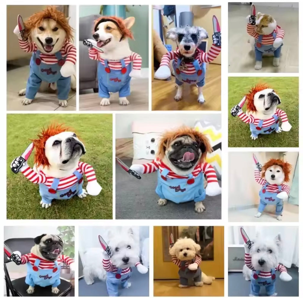 Spooky Paws Halloween Collection 🎃🐾